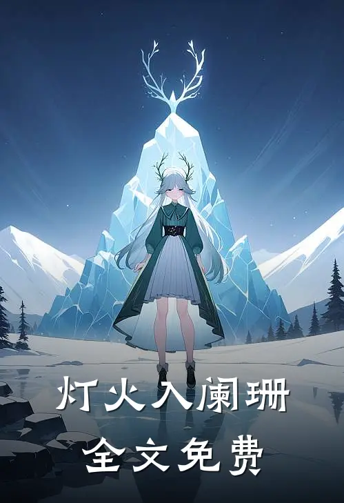 灯火入阑珊全文免费