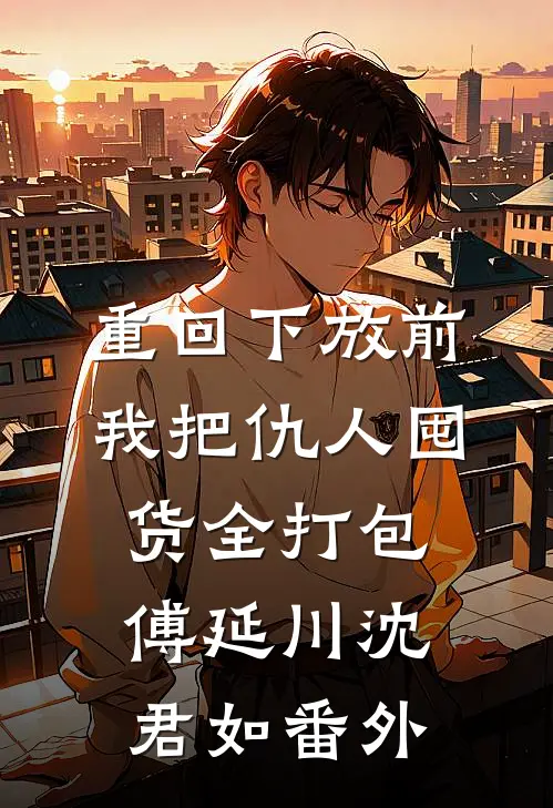 重回下放前，我把仇人囤货全打包傅延川沈君如 番外