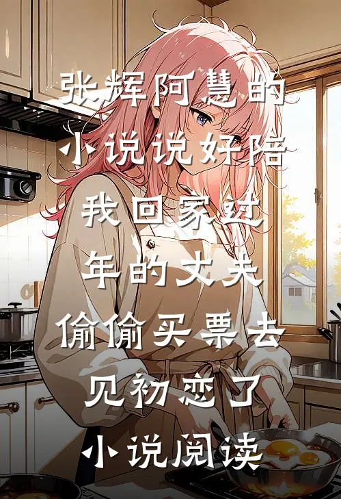 张辉阿慧的小说说好陪我回家过年的丈夫，偷偷买票去见初恋了小说阅读
