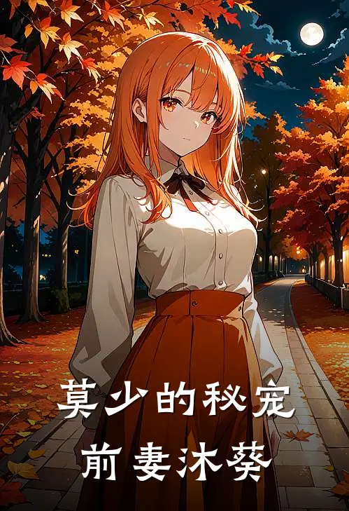 莫少的秘宠前妻沐葵