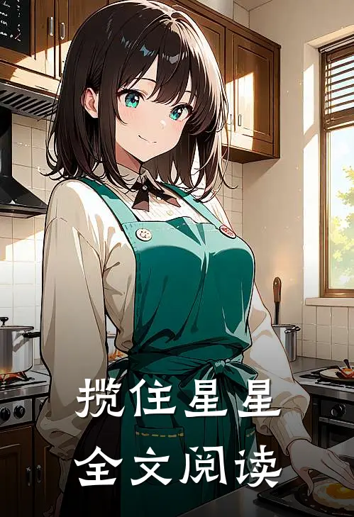 揽住星星全文阅读