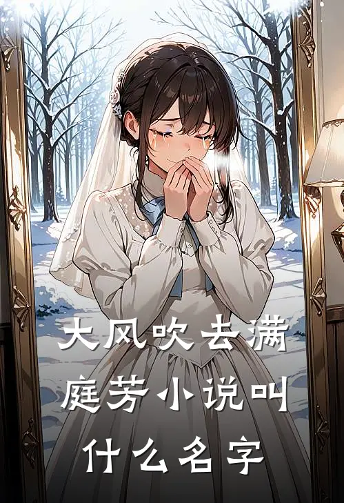 大风吹去满庭芳小说叫什么名字