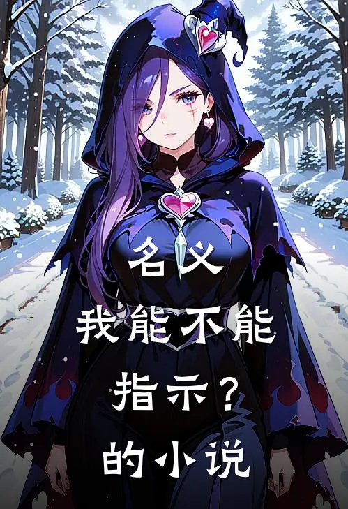 名义：我能不能指示？的小说