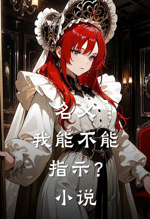 名义：我能不能指示？小说