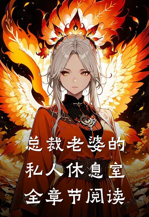 总裁老婆的私人休息室全章节阅读