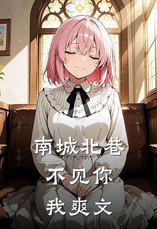南城北巷，不见你我爽文