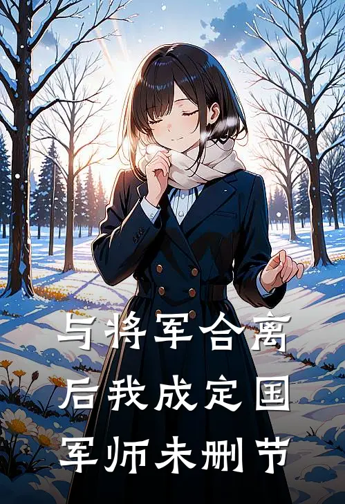 与将军合离后我成定国军师未删节