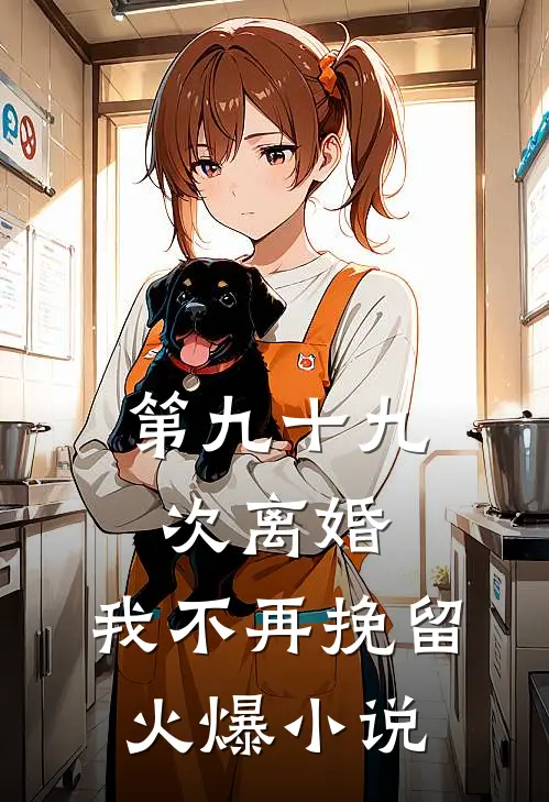 第九十九次离婚，我不再挽留火爆小说
