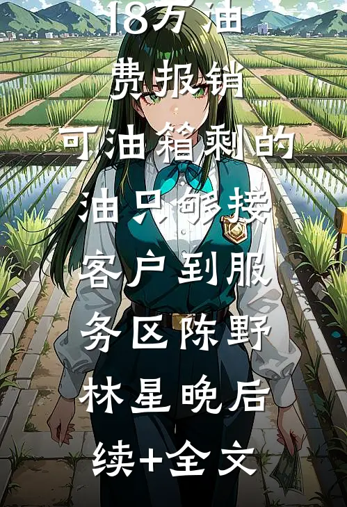 公司卡我18万油费报销，可油箱剩的油只够接客户到服务区陈野林星晚后续+全文