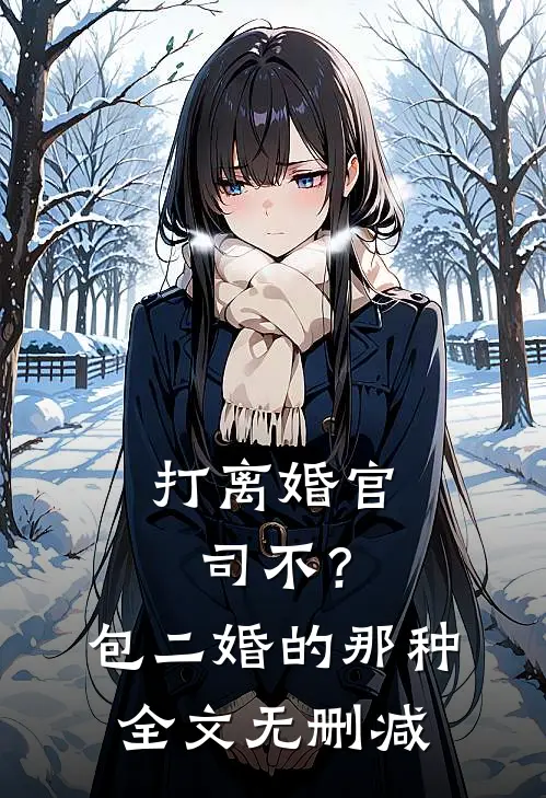 打离婚官司不？包二婚的那种全文无删减