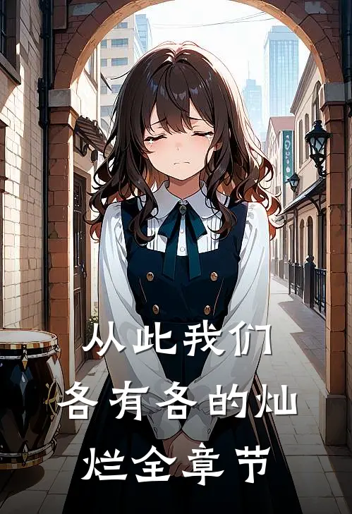 从此我们，各有各的灿烂全章节