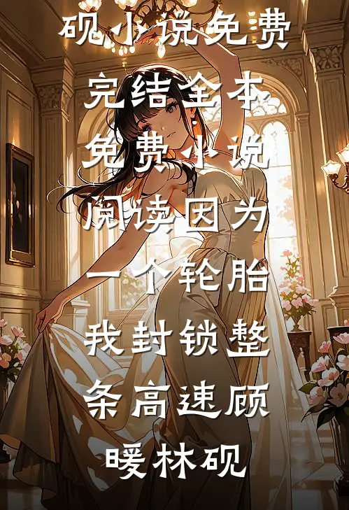 因为一个轮胎，我封锁整条高速顾暖林砚小说免费完结_全本免费小说阅读因为一个轮胎，我封锁整条高速(顾暖林砚)