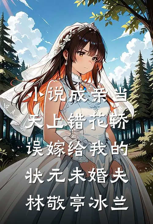 小说成亲当天上错花轿，误嫁给我的状元未婚夫(林敬亭冰兰)