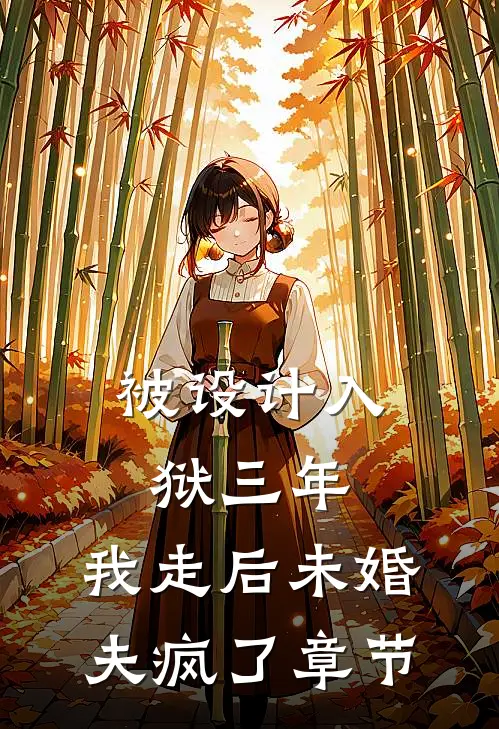 被设计入狱三年，我走后未婚夫疯了章节