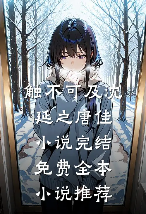 触不可及沈延之唐佳小说完结免费全本小说推荐