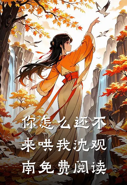 你怎么还不来哄我沈观南免费阅读
