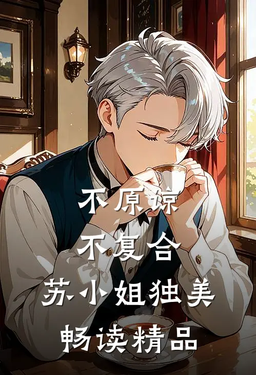 不原谅，不复合，苏小姐独美畅读精品