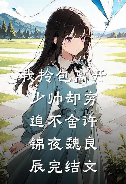 我拎包离开，少帅却穷追不舍许锦夜魏良辰完结文