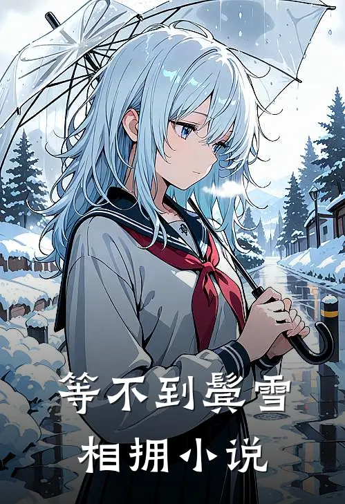 等不到鬓雪相拥小说