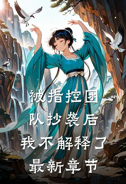 被指控团队抄袭后，我不解释了最新章节