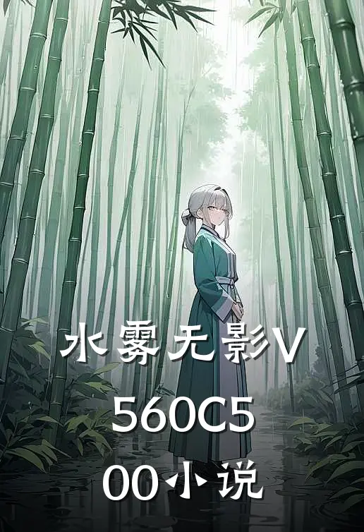 水雾无影V560C500小说
