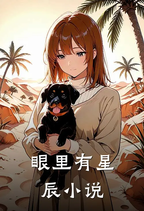 眼里有星辰小说
