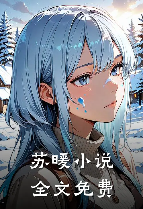 苏暖小说全文免费