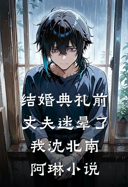 结婚典礼前，丈夫迷晕了我沈北南阿琳小说