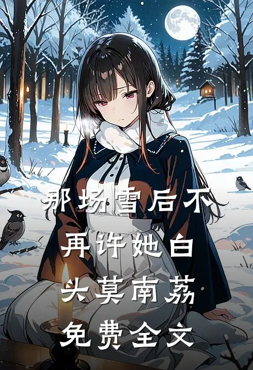 那场雪后不再许她白头莫南荔免费全文
