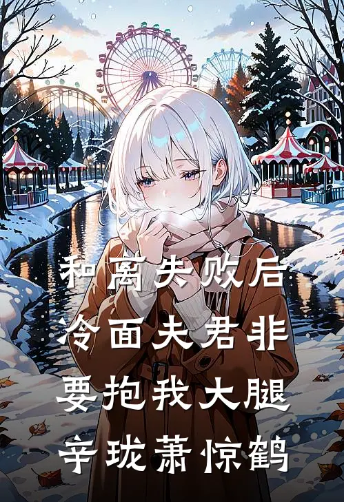 和离失败后，冷面夫君非要抱我大腿辛珑萧惊鹤